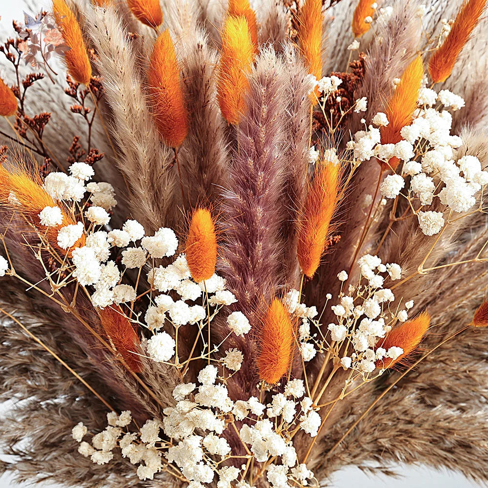 0070 Autumn Dried Fluffy Pampas Bunny Tails Boho Home Nature Flower Bouquet Baby Breath Living Room Vase Decor Wedding Couples Gift