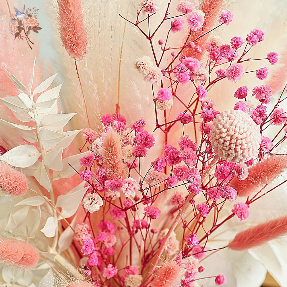 0075 Pink White Dried Flowers Mariage Bouquet Centerpieces for Weddings Natural Pampas Grass Real Gypsophile Nordic Boho Home Decor