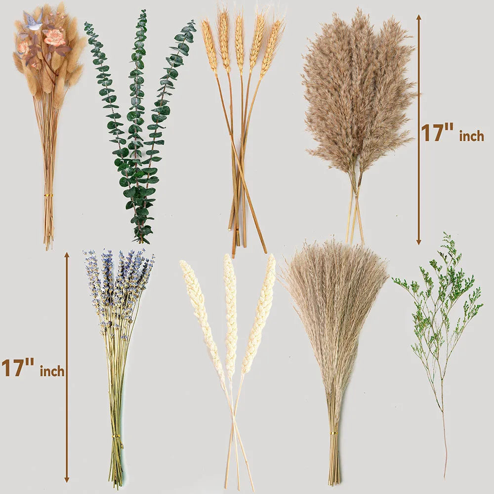 0074 Natural Dried Flowers Green Fresh Eucalyptus Leave Bouquet Boho Chic Home Table Vase Decor Real Pampas Bunch Centerpieces