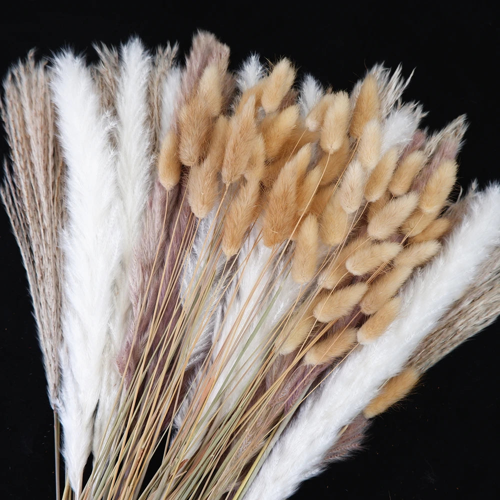 0091 Dried Pampas Grass Bouquet – 80–110 Pcs with Bunny Tails & Reed Grass for Wedding & Boho Décor