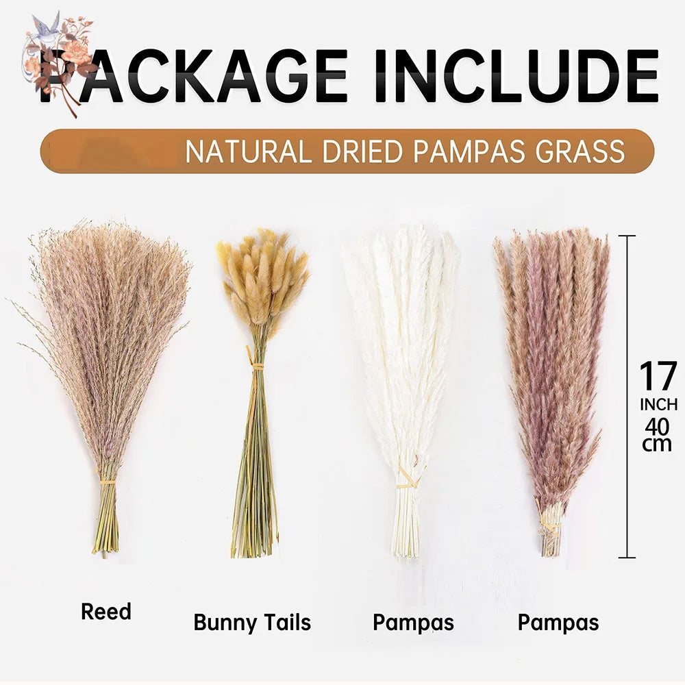 0077 Dried Flowers Natural Pampas Grass Rabbit Tails Reed Bouquet Bohemian Chic Home Decoration Wedding Aisle Centerpiece Arrangement