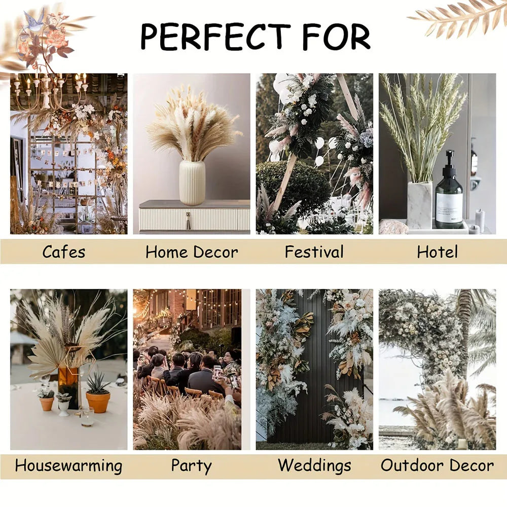 0077 Dried Flowers Natural Pampas Grass Rabbit Tails Reed Bouquet Bohemian Chic Home Decoration Wedding Aisle Centerpiece Arrangement