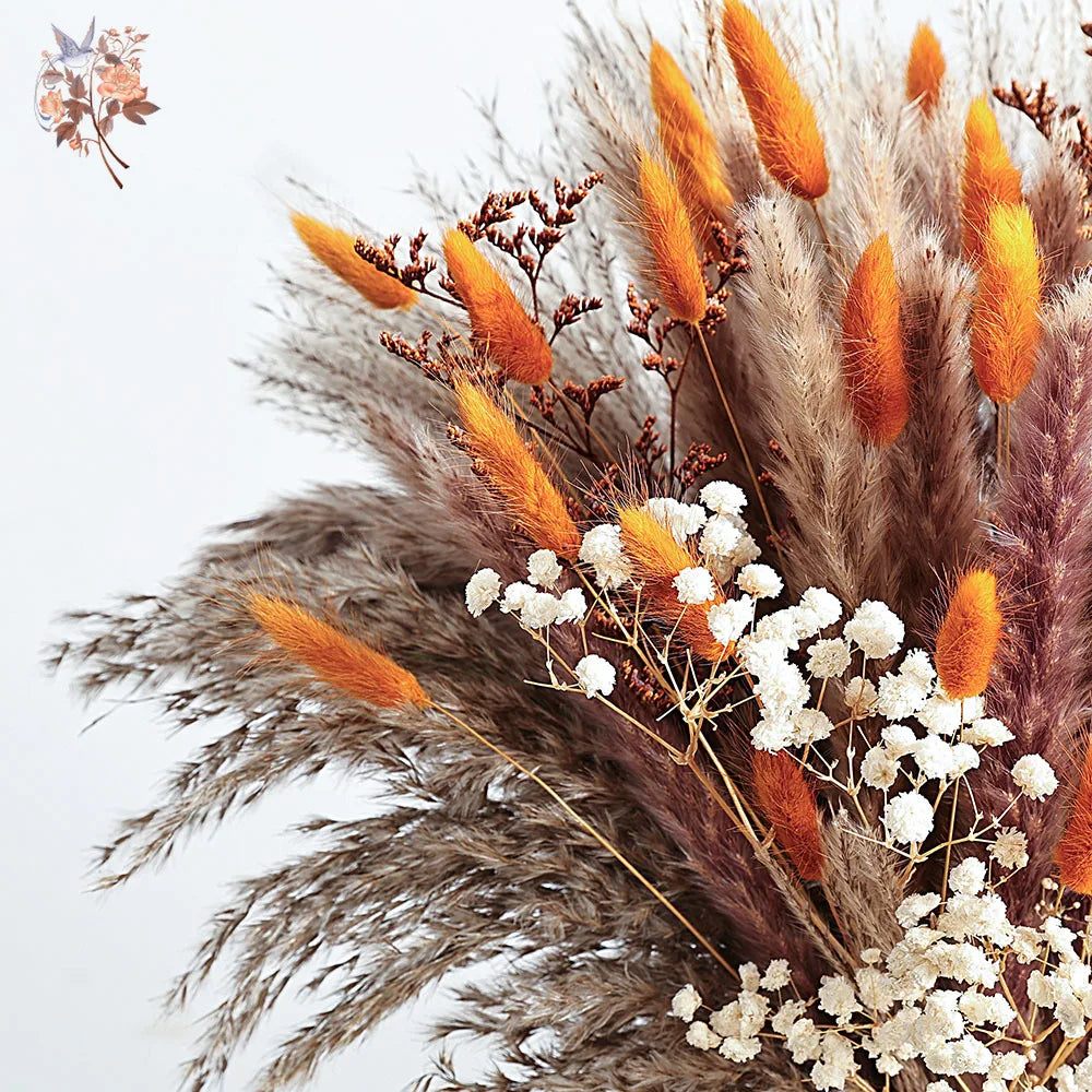 0070 Autumn Dried Fluffy Pampas Bunny Tails Boho Home Nature Flower Bouquet Baby Breath Living Room Vase Decor Wedding Couples Gift