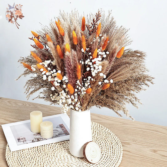0070 Autumn Dried Fluffy Pampas Bunny Tails Boho Home Nature Flower Bouquet Baby Breath Living Room Vase Decor Wedding Couples Gift