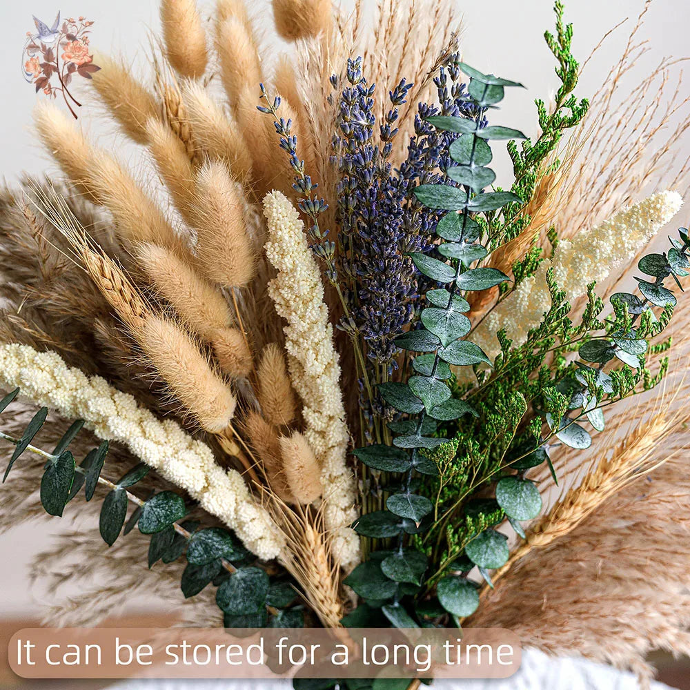 0074 Natural Dried Flowers Green Fresh Eucalyptus Leave Bouquet Boho Chic Home Table Vase Decor Real Pampas Bunch Centerpieces